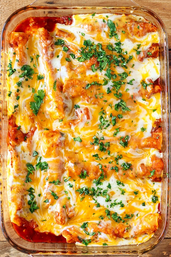 Instant Pot Chicken Enchiladas
 Instant Pot Pressure Cooker Chicken Enchiladas No 2 Pencil