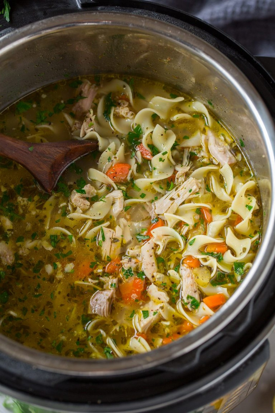 Instant Pot Chicken Soup Recipes
 Instant Pot Chicken Noodle Soup