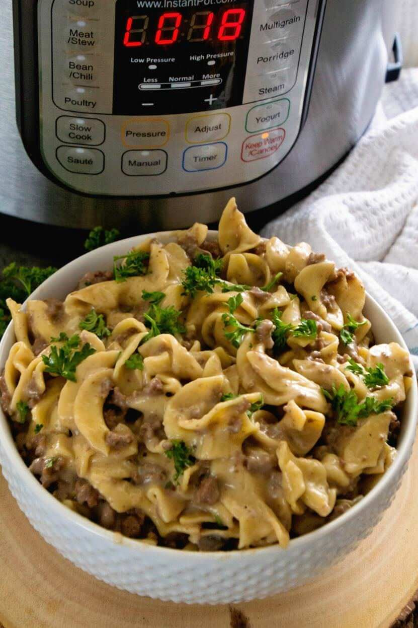 Instant Pot Dinners
 Instant Pot Pressure Cooker Hamburger Stroganoff Julie