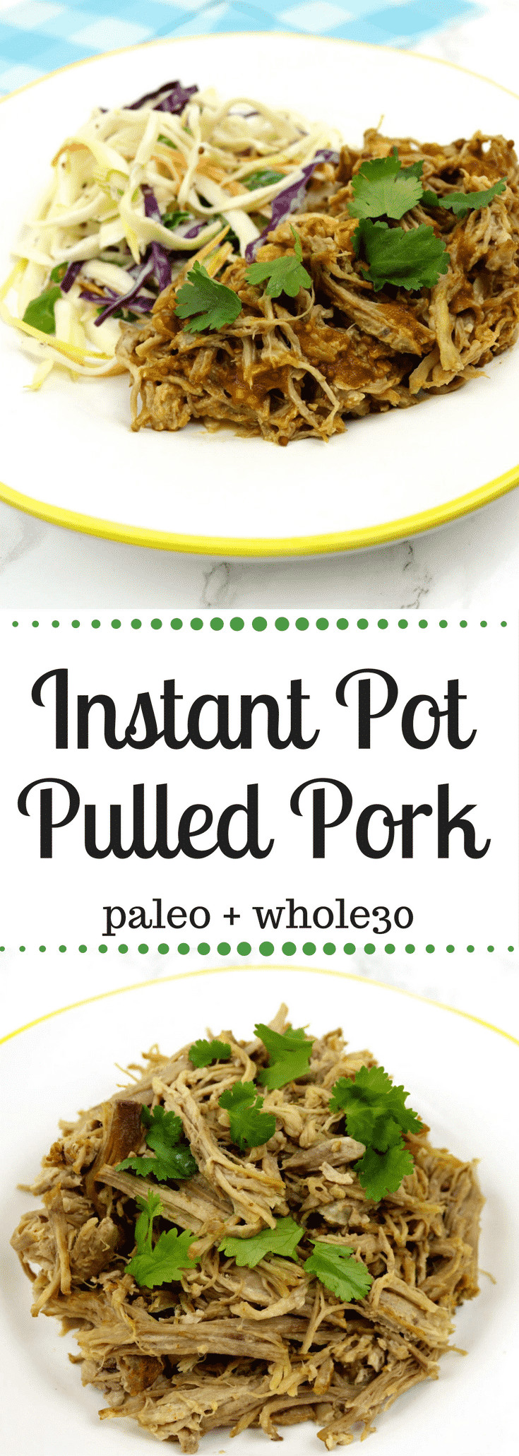 Instant Pot Paleo Recipes
 Instant Pot Pulled Pork Paleo Whole30 Recipe