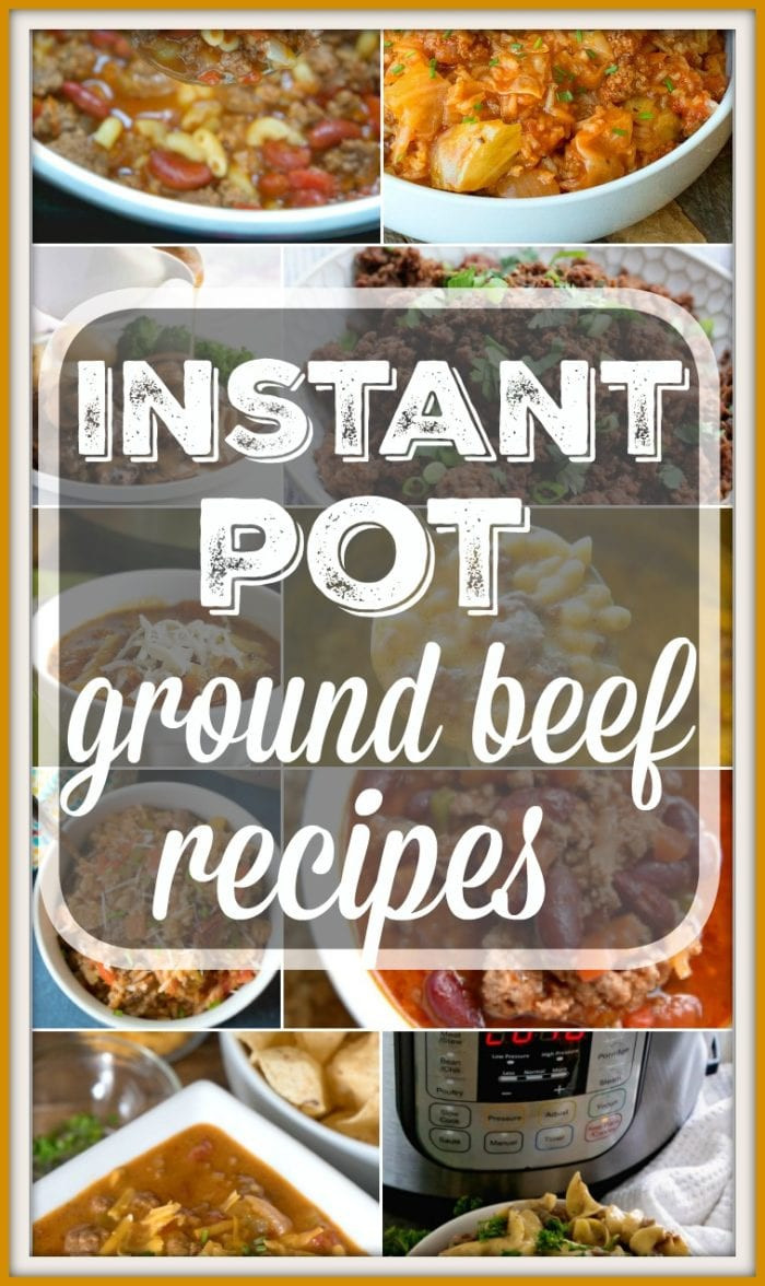 Instant Pot Recipes Beef
 Instant Pot Ground Beef Recipes · The Typical Mom