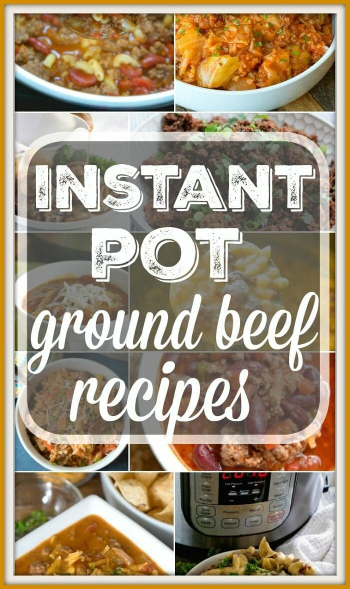 Instant Pot Recipes Ground Beef
 Instant Pot Ground Beef Recipes · The Typical Mom