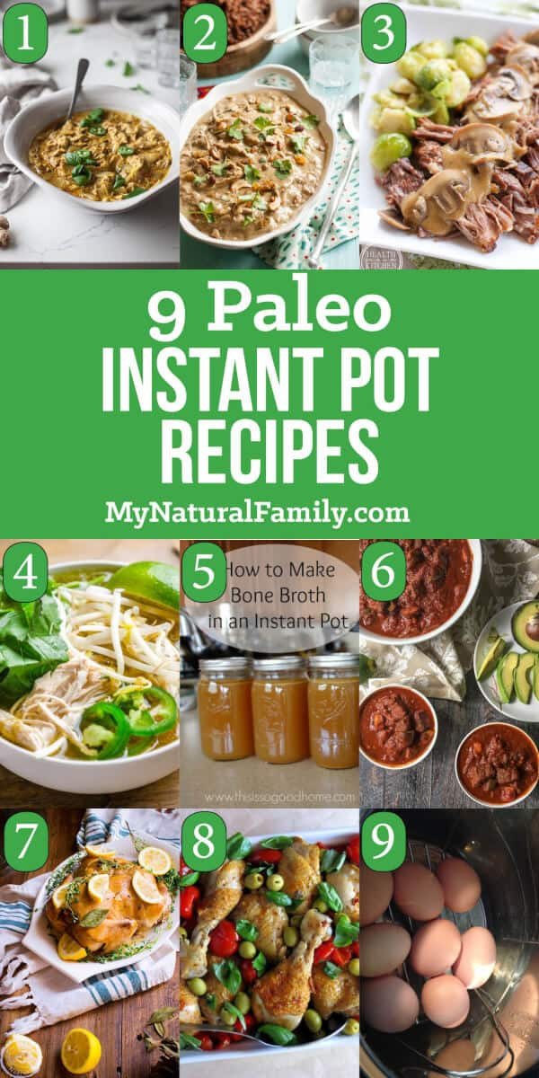 Instant Pot Recipes Paleo
 9 of the Best Ever Paleo Instant Pot Recipes Electric