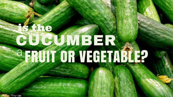 Is A Potato A Fruit Or Vegetable
 Is a Cucumber a Fruit or a Ve able