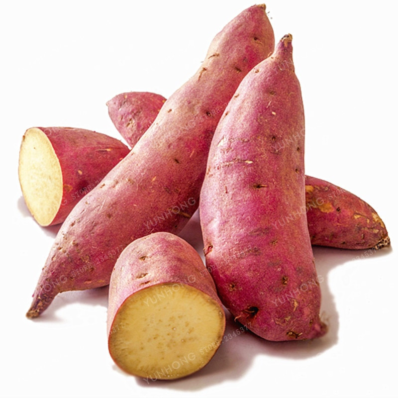 Is A Potato A Fruit Or Vegetable
 Sweet Potato Seeds Ve ables Seeds Fresh Food Fruit And