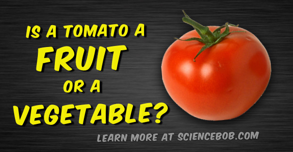 Is A Potato A Fruit Or Vegetable
 Is a tomato a fruit or a ve able ScienceBob