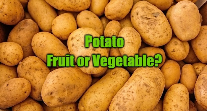 Is A Potato A Vegetable
 Is a Potato a Fruit or Ve able Find Your Answer Here