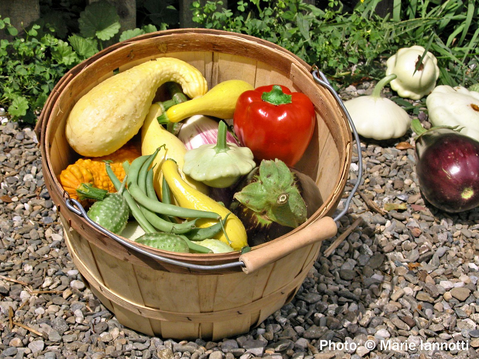 Is A Potato A Vegetable
 How Much to Plant Per Person in the Ve able Garden