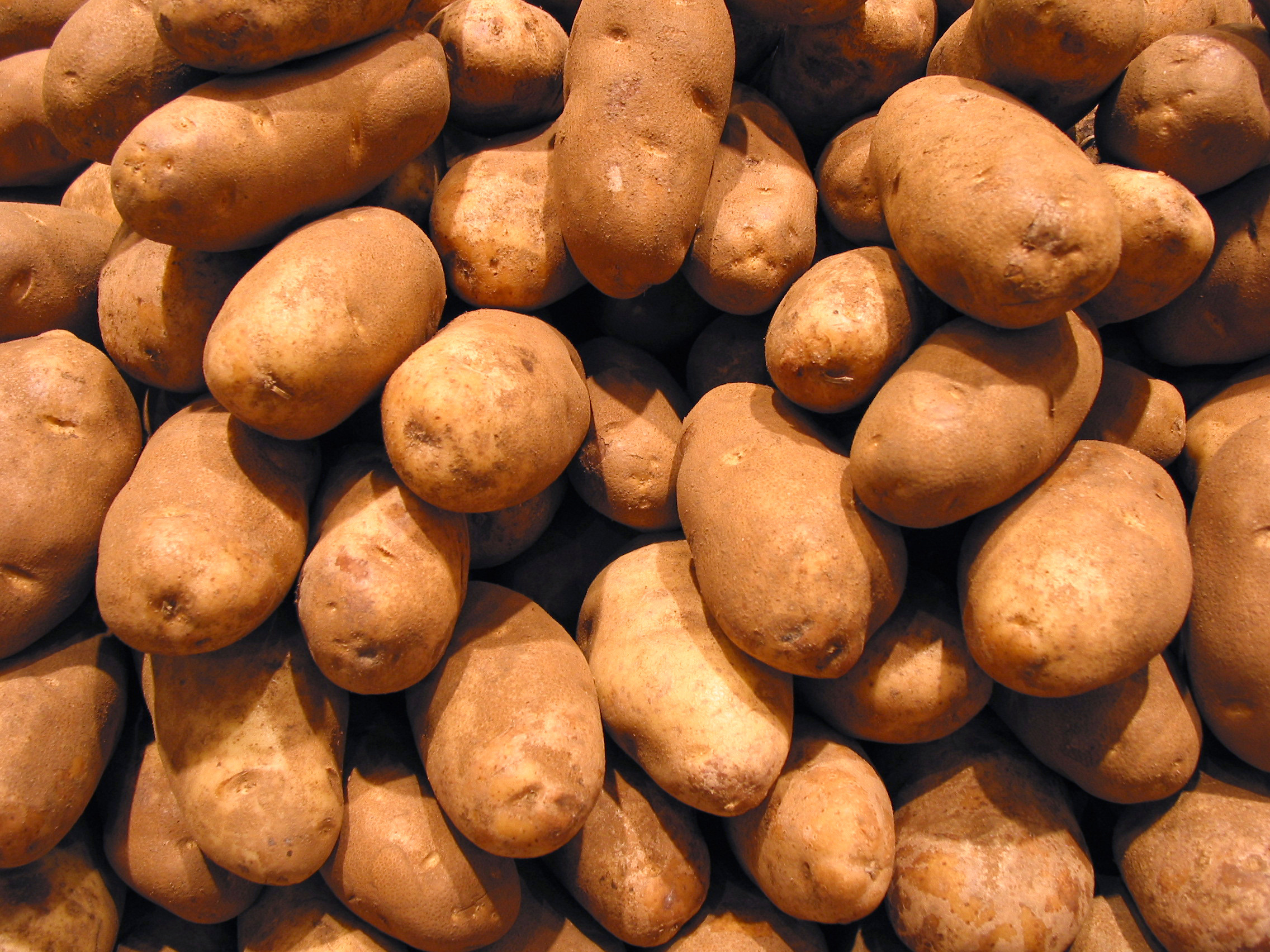 Is A Potato A Vegetable
 Potato FREE Stock Image Picture Potatoes Tubers