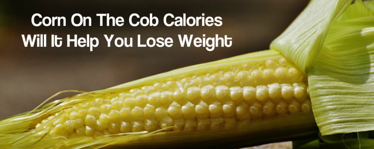 Is Corn Good For Weight Loss
 Corn The Cob Calories – Will It Help You Lose Weight