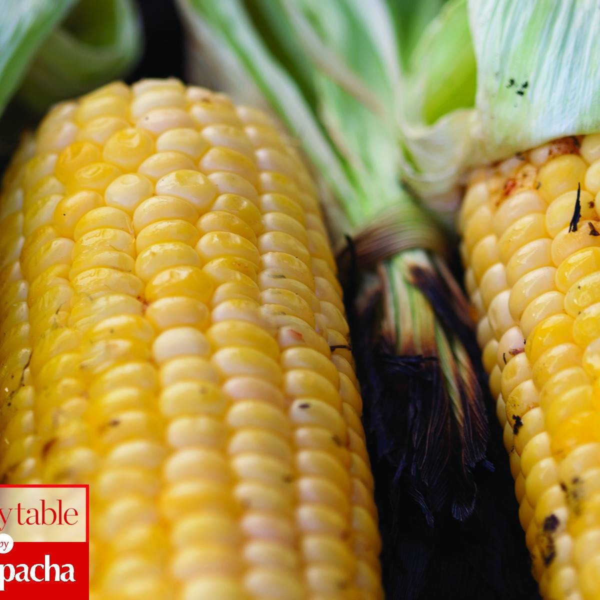 Is Corn Kosher For Passover
 Spicy BBQ Corn Recipes