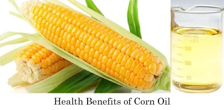 Is Corn Oil Healthy
 Health Benefits Corn Oil