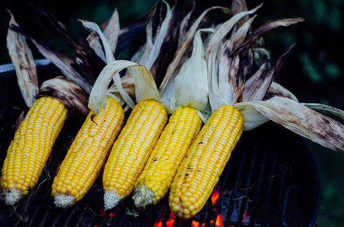 Is Corn Paleo
 Is Corn Paleo Sure Paleo