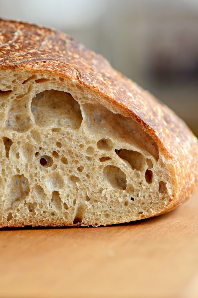 Is Sourdough Bread Healthy
 How to Make Sourdough Bread at Home West of the Loop