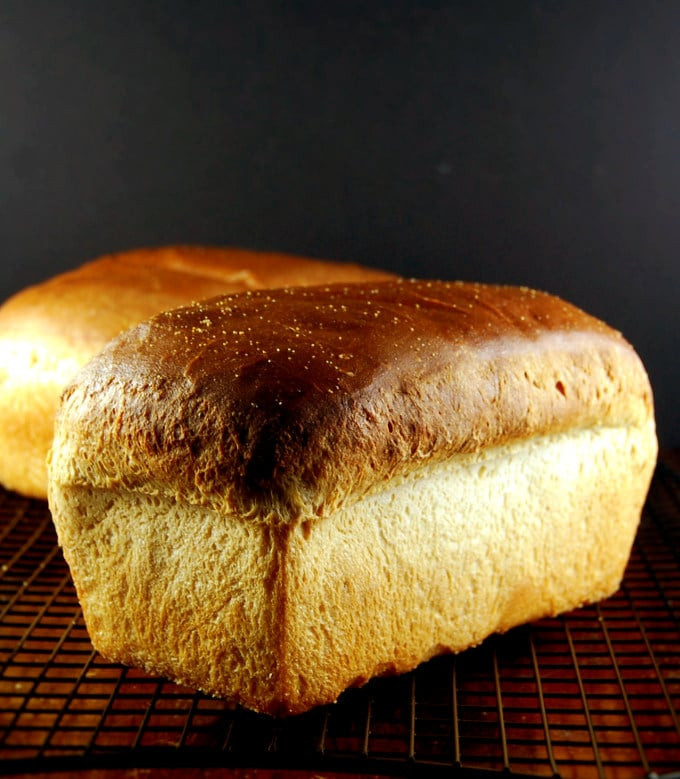 Is Sourdough Bread Vegan
 The Best Sourdough Sandwich Bread yeast free • Holy Cow