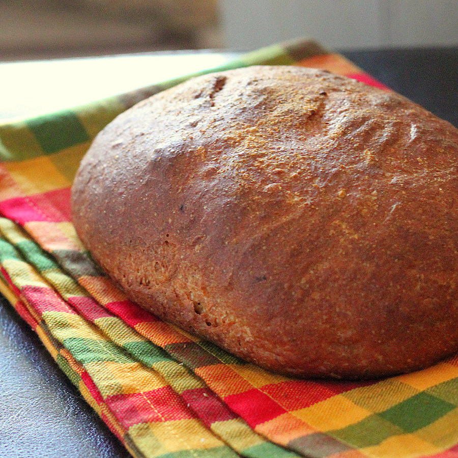 Is Sourdough Bread Vegan
 Faux Sourdough Bread with fermented Dosa batter Vegan