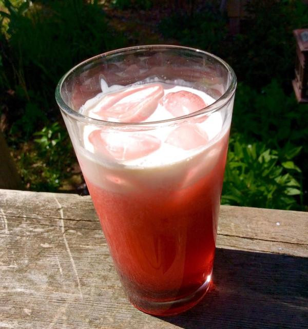 Italian Non Alcoholic Drinks
 Homemade Italian Cream Sodas Recipe