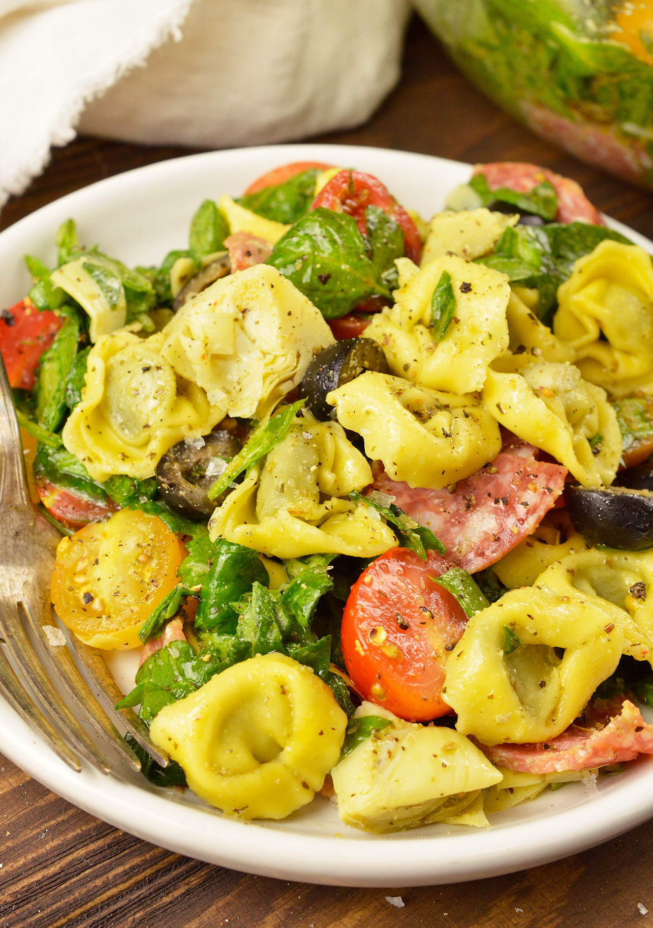 Italian Pasta Recipes
 Spinach Tortellini Italian Pasta Salad Recipe video