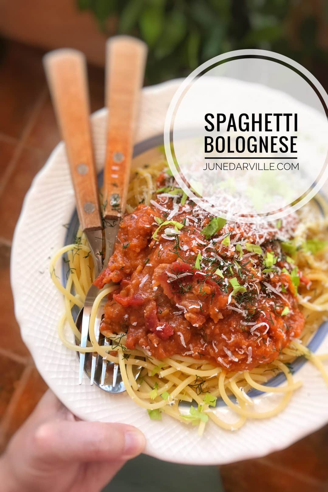 Italian Spaghetti Recipe
 Spaghetti Sauce Homemade & Best Ever