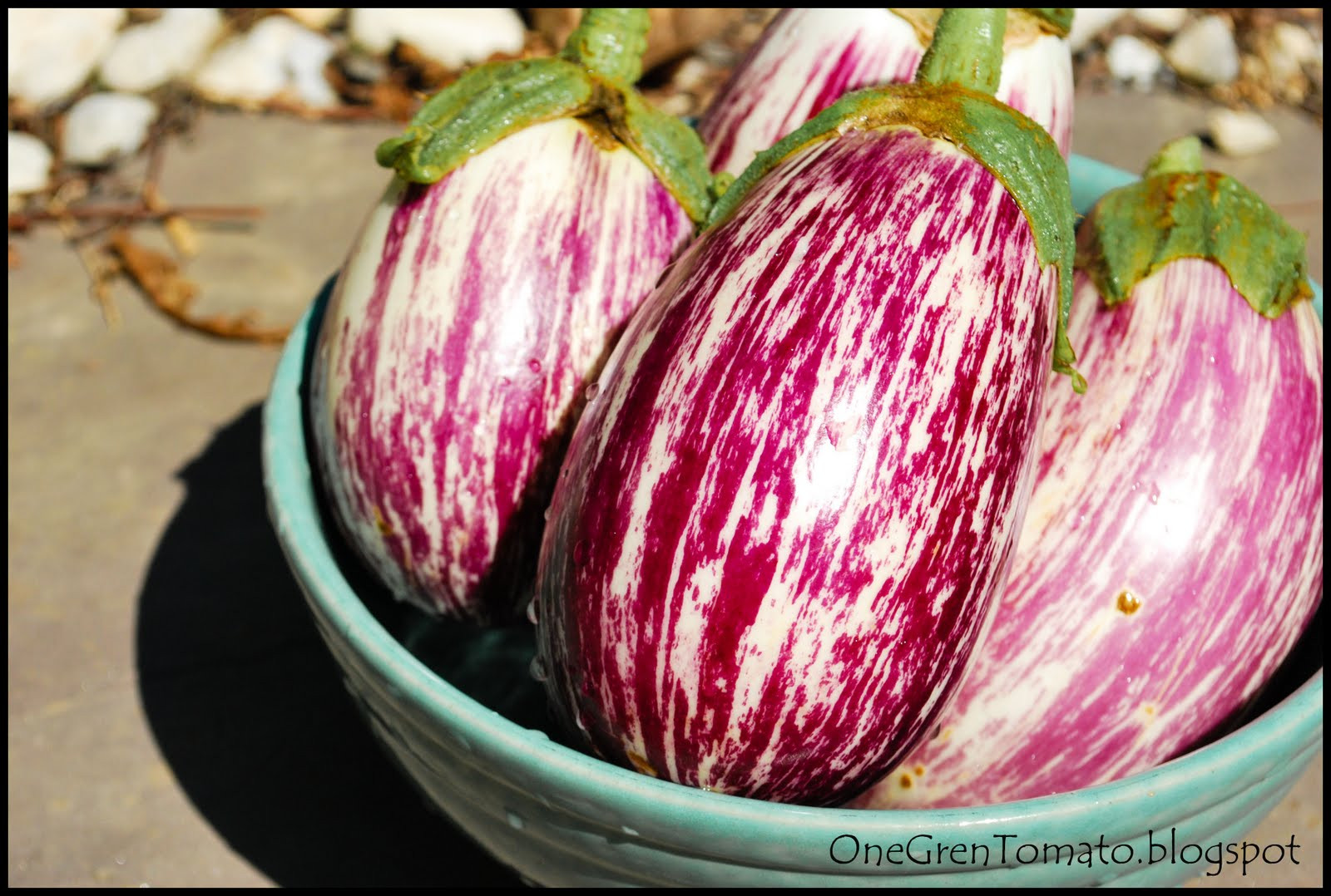 Italian Word For Eggplant
 Eggplant
