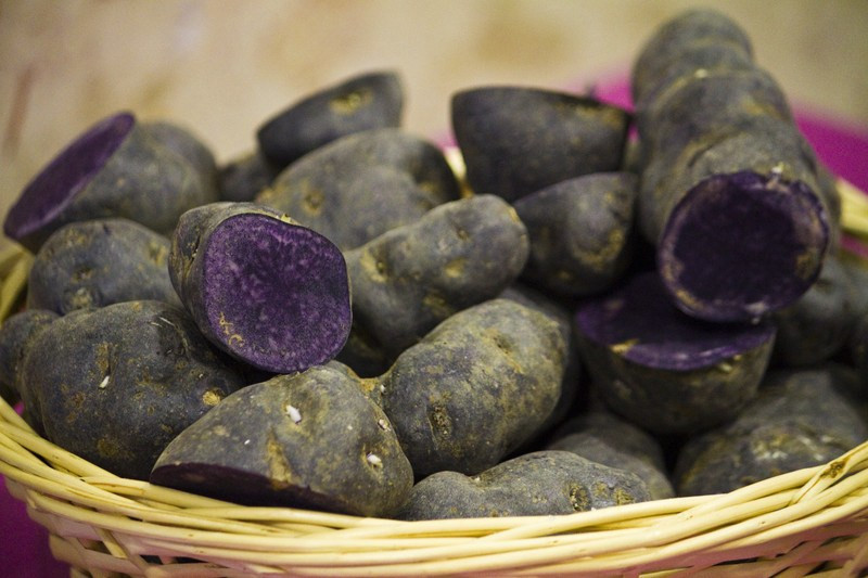 Japanese Purple Sweet Potato
 Lab Study Purple Sweet Potatoes as Colon Cancer Fighters