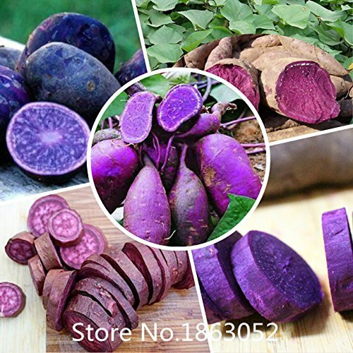 Japanese Purple Sweet Potato
 Amazon Fresh Purple Sweet Potatoes 2LBS