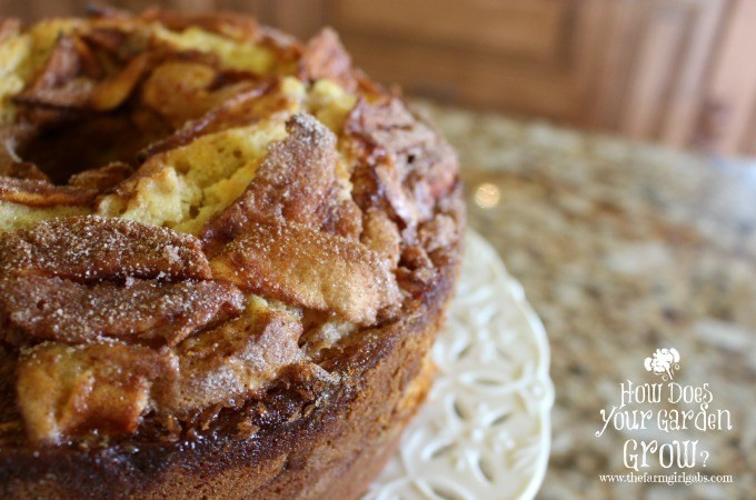 Jewish Apple Cake
 Jewish Apple Cake