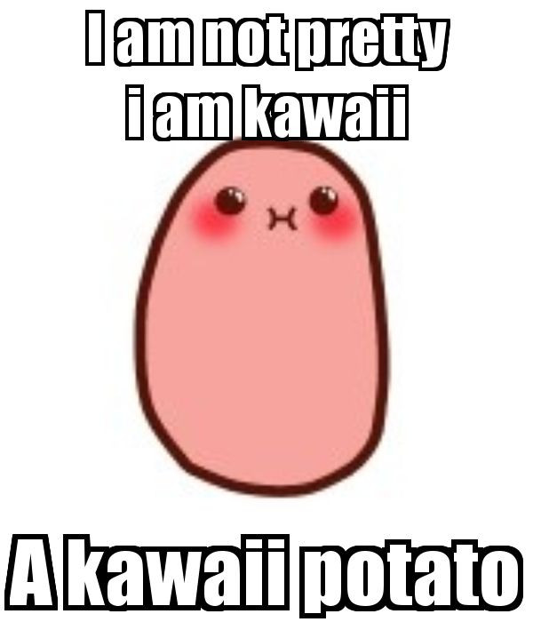 Kawaii Potato Meme
 17 Best images about Kawaii Potato Obsession on Pinterest