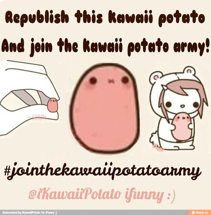 Kawaii Potato Meme
 Best 25 Kawaii potato ideas on Pinterest