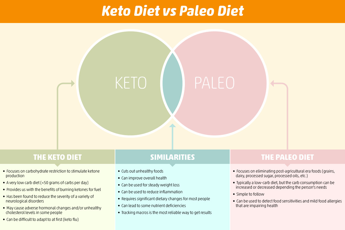 Keto Diet Vs Paleo
 Keto Diet vs Paleo Diet Is Keto Better Than Paleo