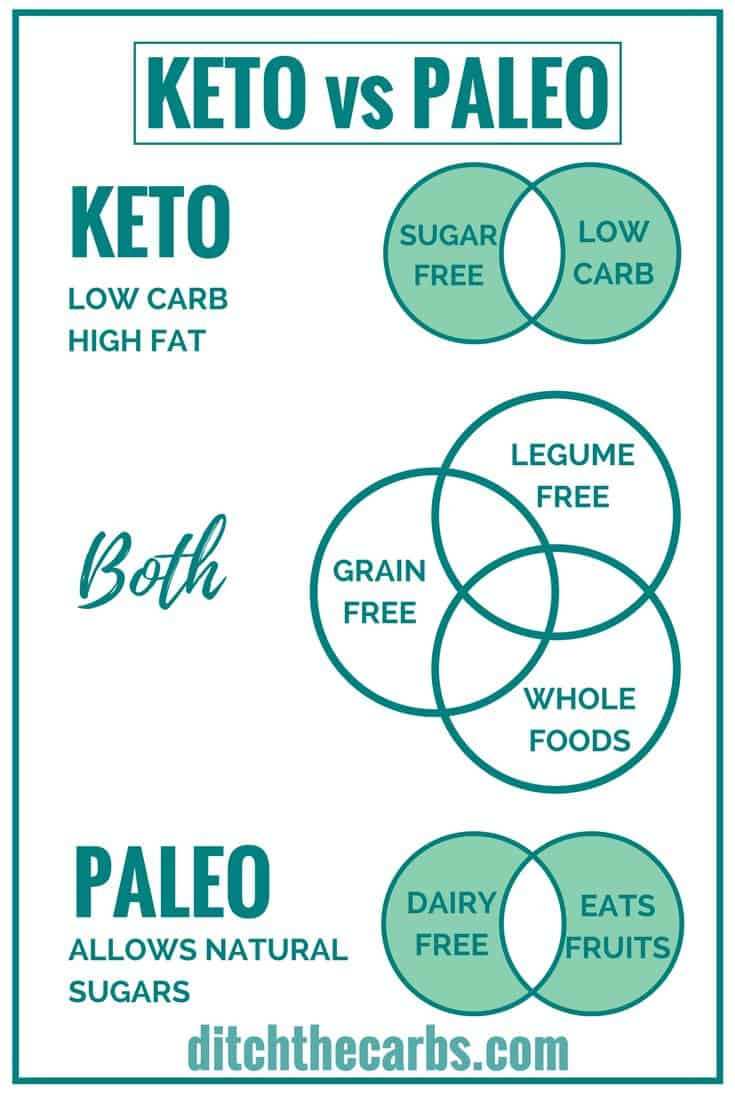 Keto Diet Vs Paleo
 Keto vs Paleo What s The Difference Ditch The Carbs