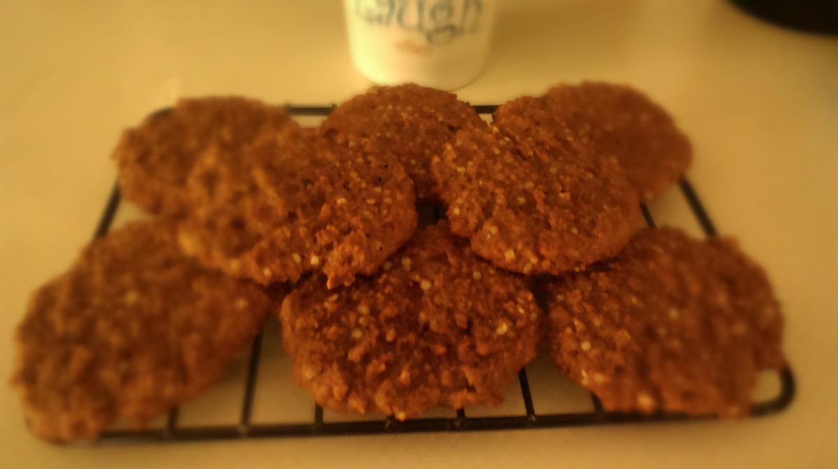 Keto Oatmeal Cookies
 You know what goes great with cookies COOKIES Faux