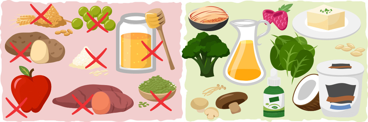 Keto Vegan Diet
 A prehensive Guide To The Vegan Ketogenic Diet