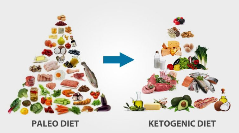 Keto Vs Paleo Diet
 All you need to know about the Paleo and Ketogenic Diets