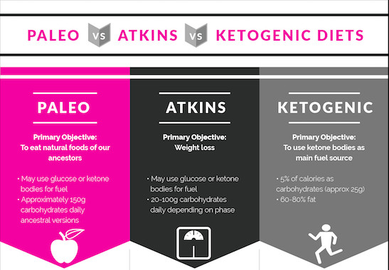 Keto Vs Paleo Diet
 Paleo vs Atkins vs Ketogenic Diet Fact vs Fitness