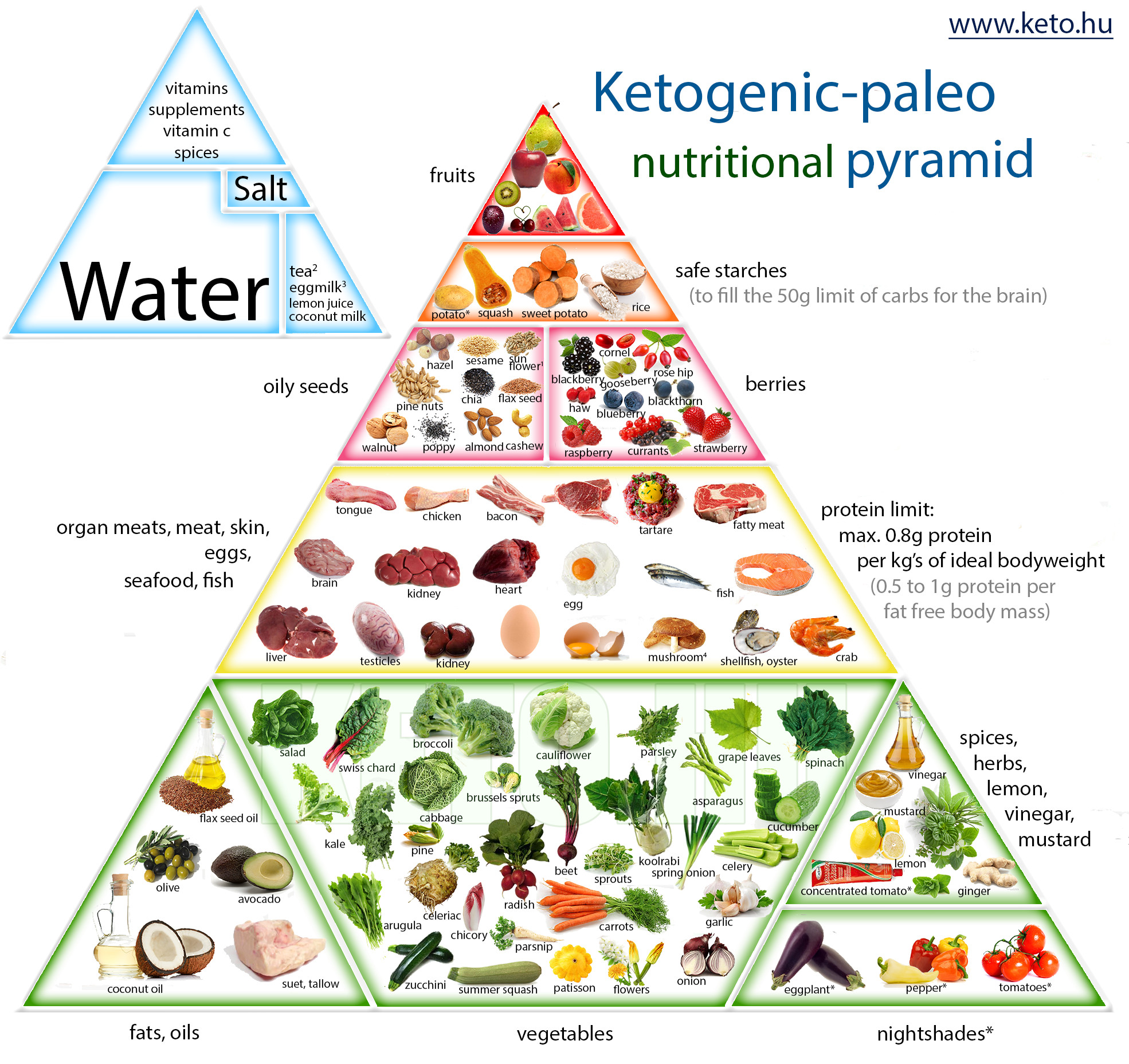 Keto Vs Paleo Diet
 ketogenic paleo nutrition pyramid