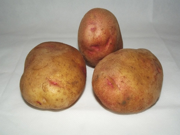 King Edward Potato
 King edward potatoes Free stock photos in JPEG