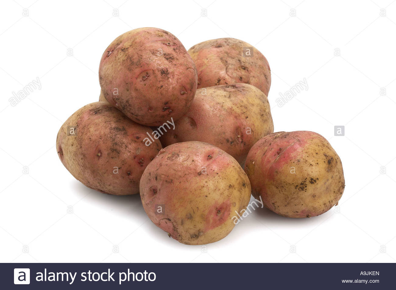 King Edward Potato
 King Edward Potatoes Stock Royalty Free Image