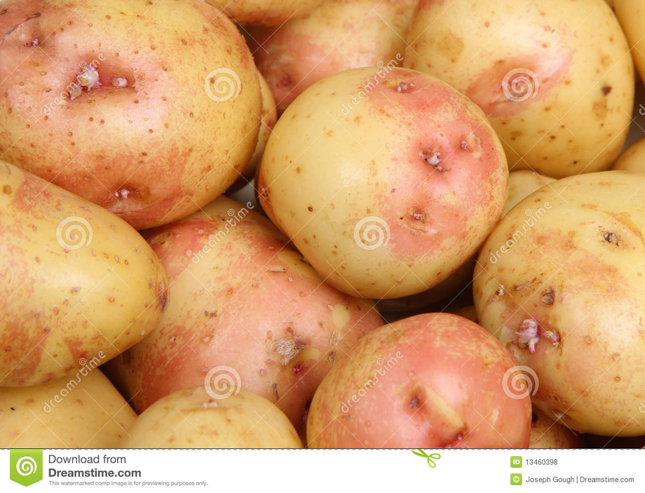 King Edward Potato
 King Edward Potatoes Royalty Free Stock s Image