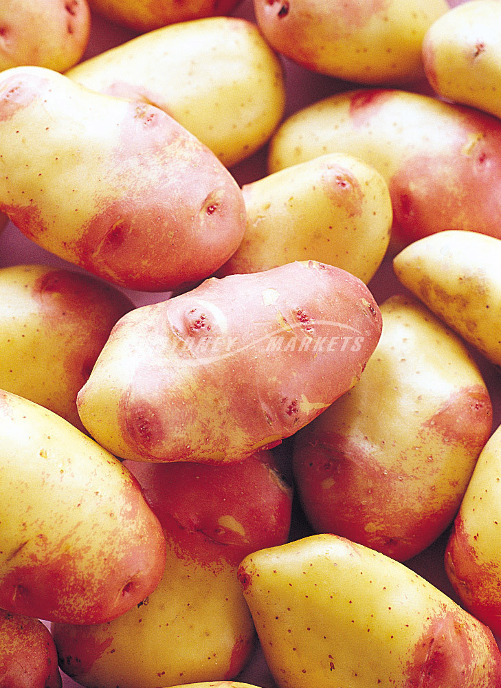 King Edward Potato
 Sydney Markets Potatoes King Edward