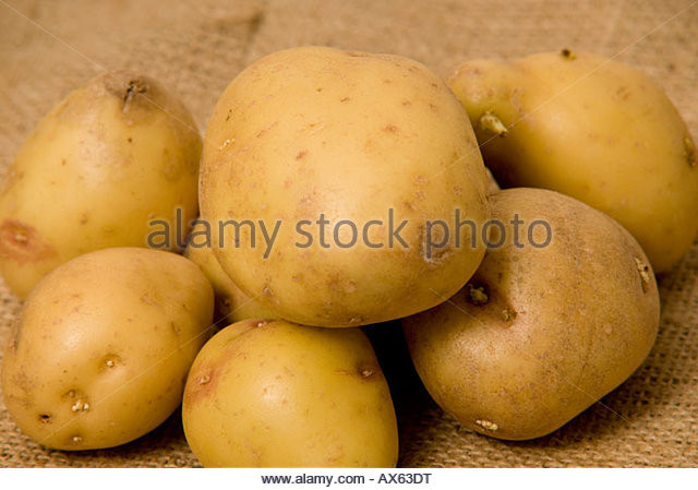 King Edward Potato
 Edward Edwards Stock s & Edward Edwards Stock