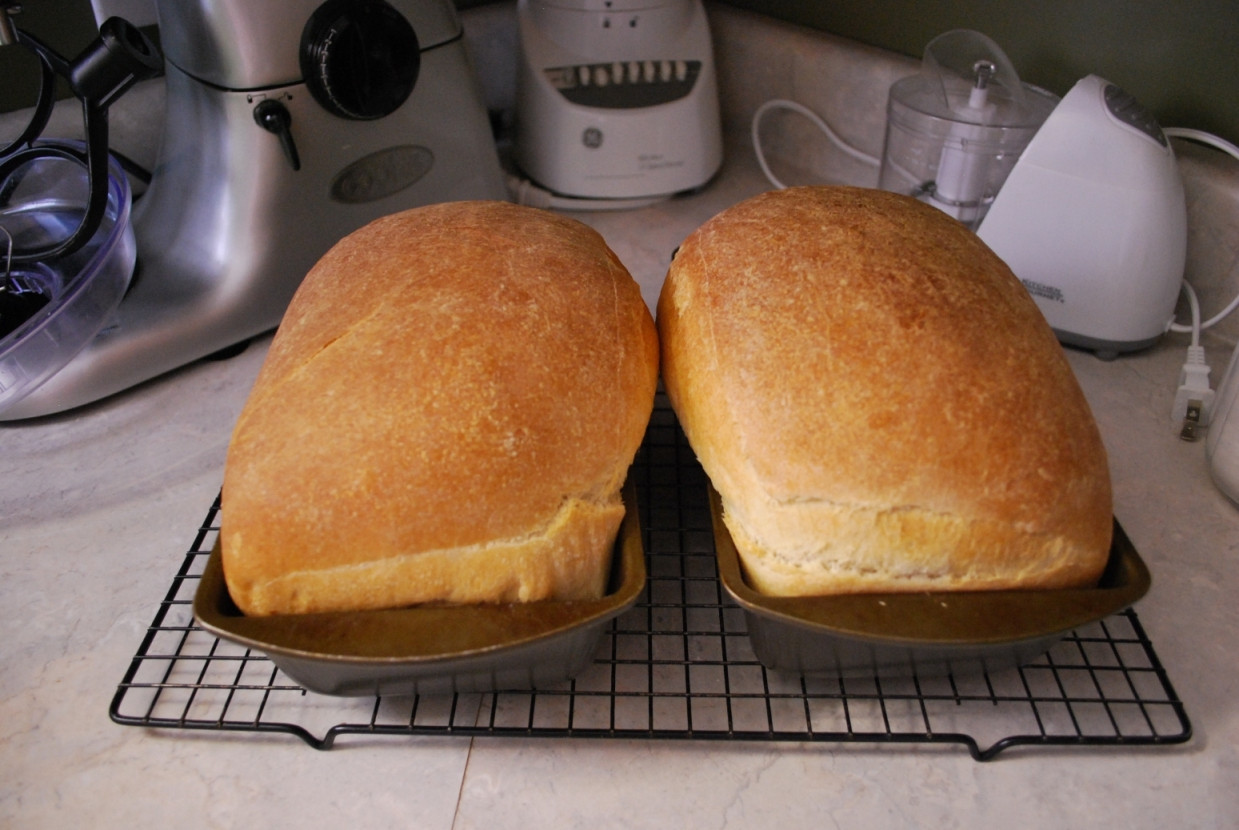 Kitchenaid Bread Recipe
 Kitchen Aid Mixer Bread Humorous Homemaking