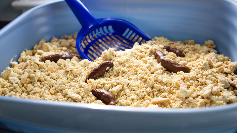 Kitty Liter Cake Recipe
 Kitty Litter Cake Recipe Tablespoon