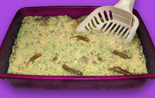 Kitty Liter Cake Recipe
 Kitty Litter Cake Recipe for April Fools Day