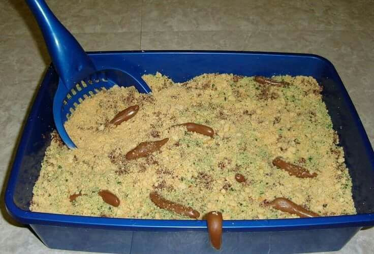 Kitty Liter Cake Recipe
 Kitty litter cake for Halloween desserts