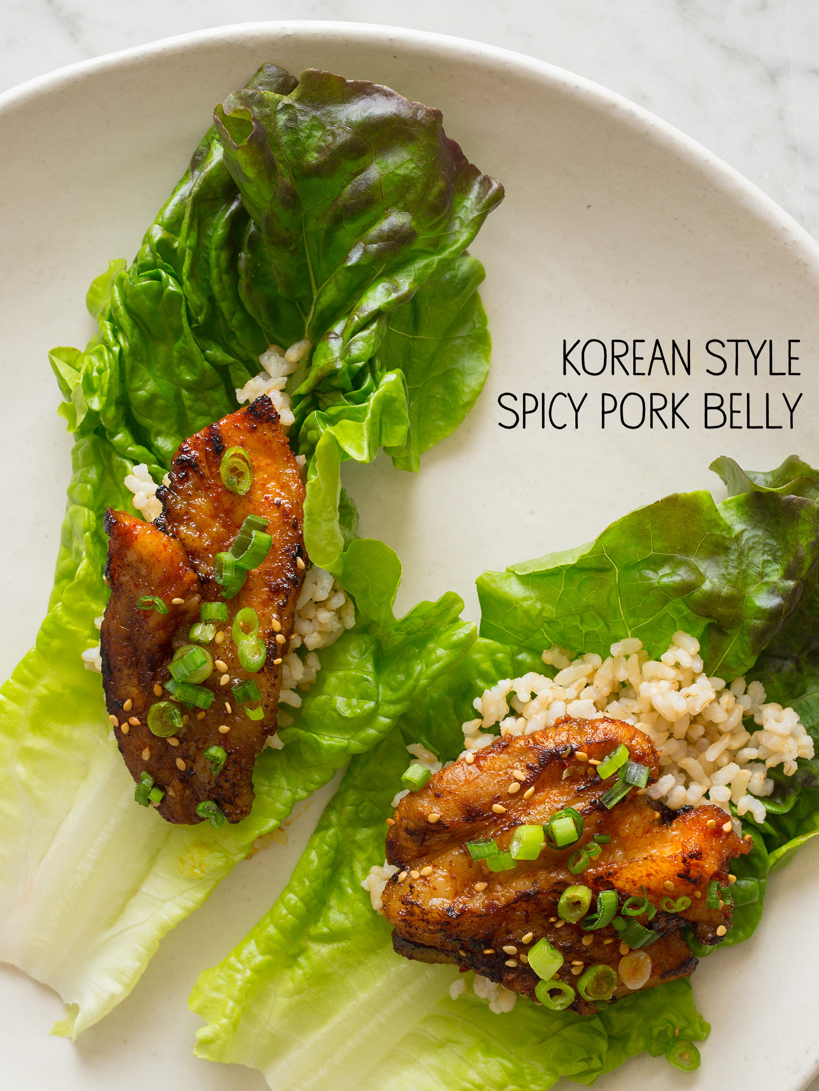 Korean Pork Belly Recipes
 Korean Style Spicy Pork Belly