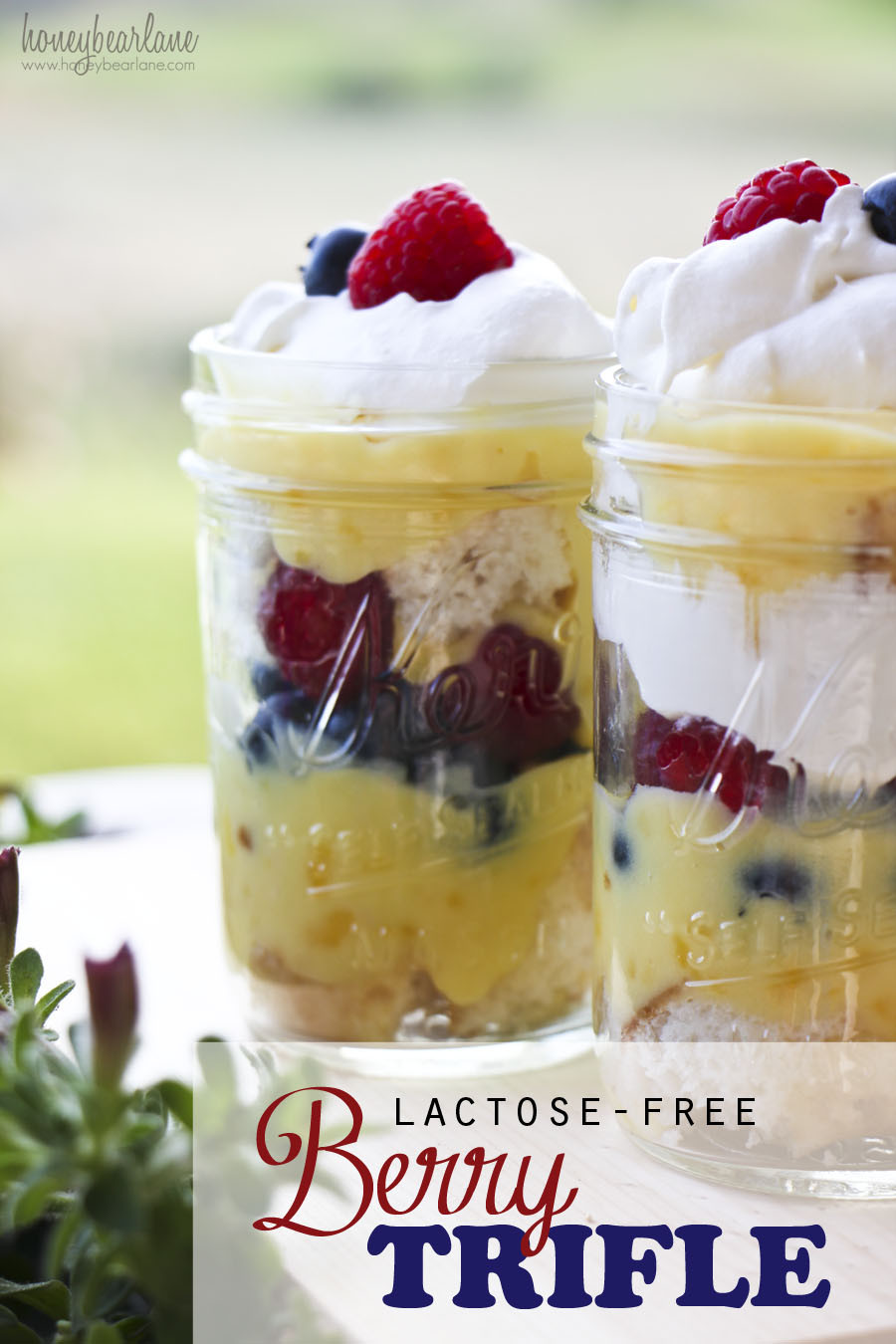 Lactose Intolerant Desserts
 Lactose Free Berry Trifle HoneyBear Lane