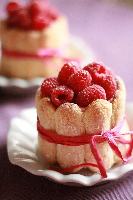 20 Best Lady Fingers Dessert Recipes - Best Recipes Ever