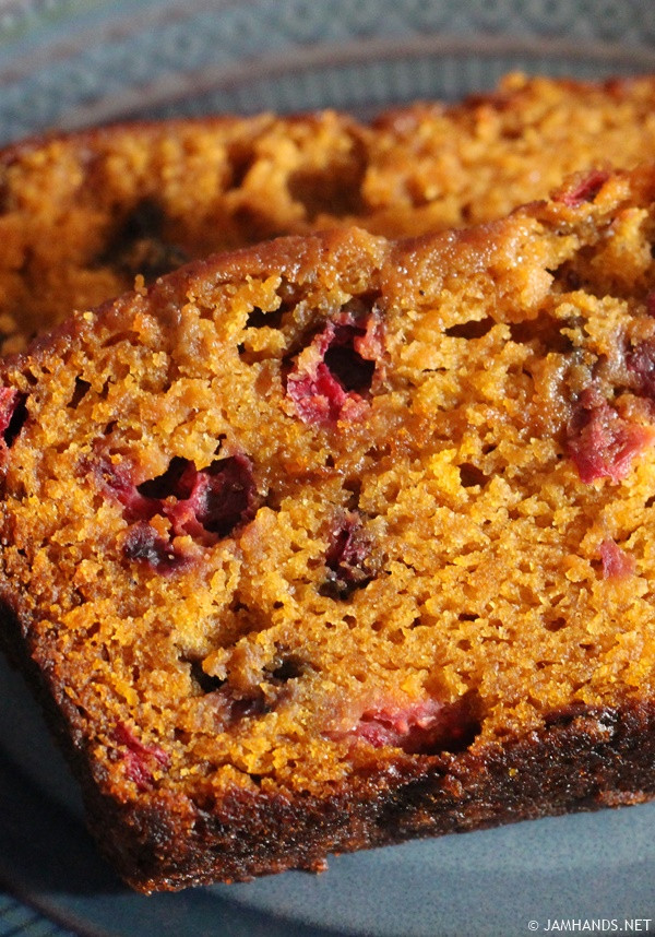 Libbys Pumpkin Bread
 Jam Hands Libby s Ridiculously Moist Pumpkin Cranberry Bread