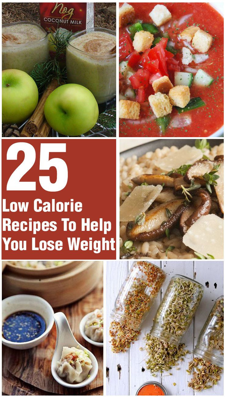 Low Calorie Recipes For Weight Loss
 20 Quick And Healthy Low Calorie Dinner Recipes